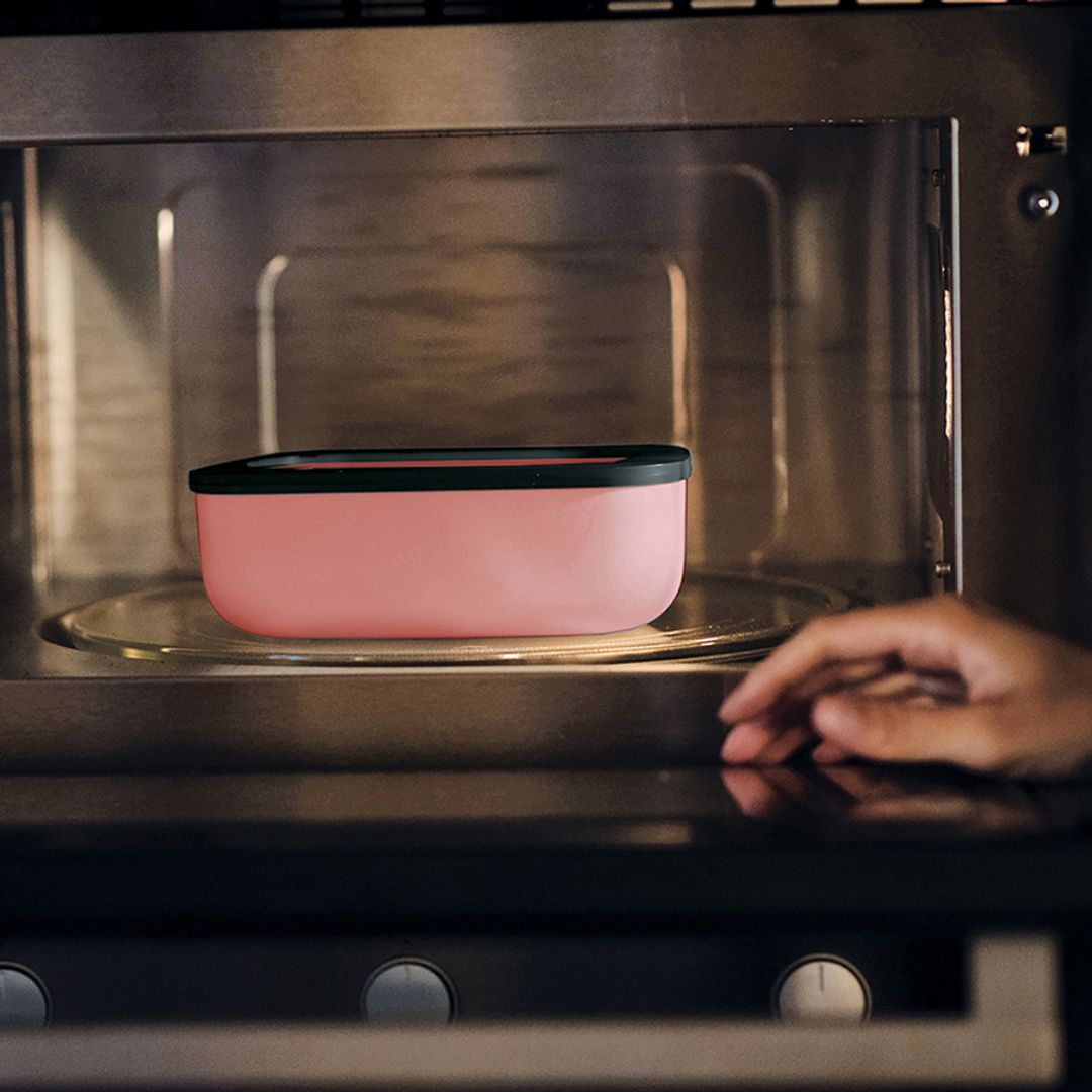 Ланч-бокс On The Go красный (900 мл) Ланч-бокс On The Go красный (900 мл)