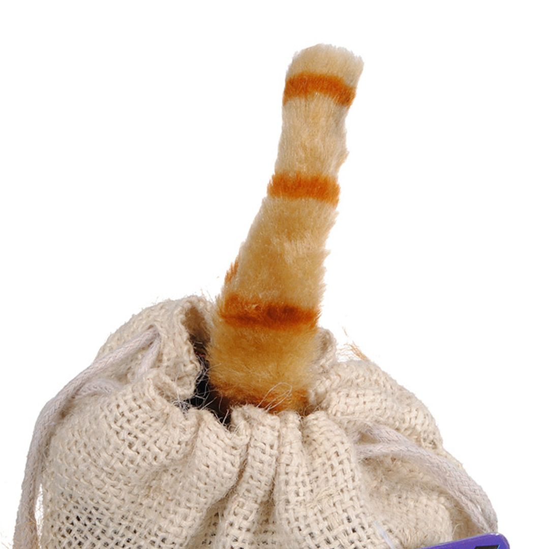 Кот в мешке