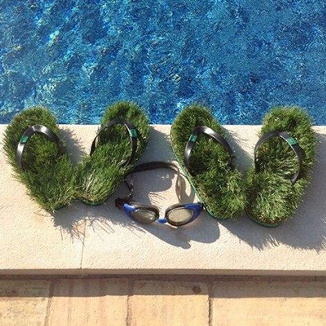 Травотапки