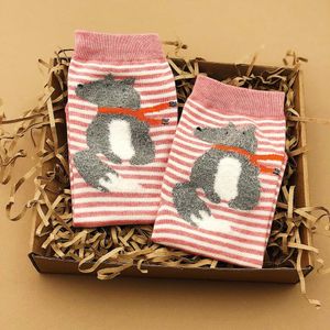 Носки Лиса в шарфе (36-39)