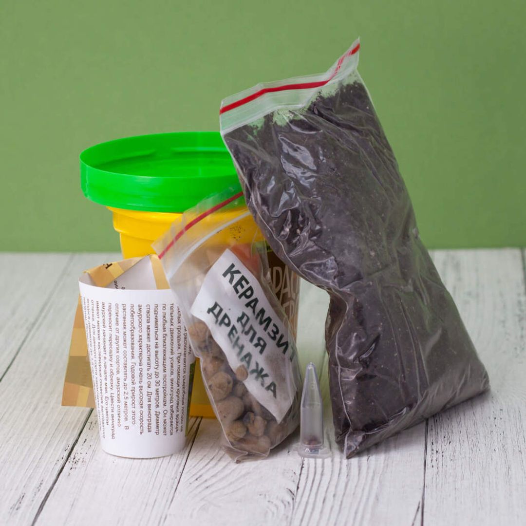 Набор для выращивания Кактусы Набор для выращивания Кактусы