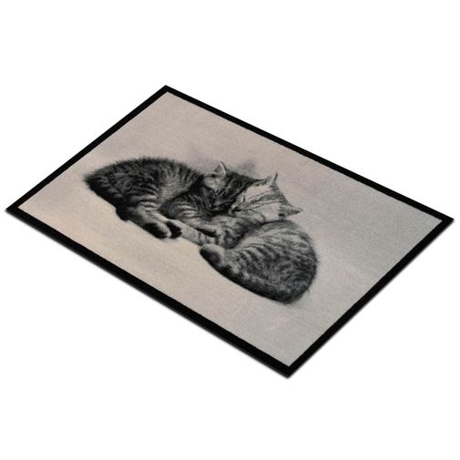 Коврик для входной двери Спящие котята