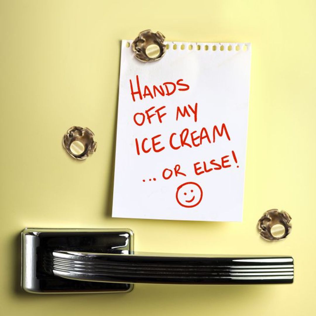 Магниты Пуля Shot-Up (3 шт.) Магниты Пуля Shot-Up (3 шт.)