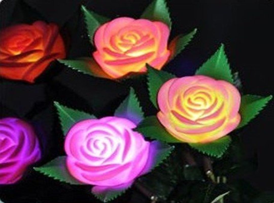 Роза Светящаяся