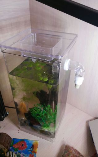  Фото покупателя Ольга