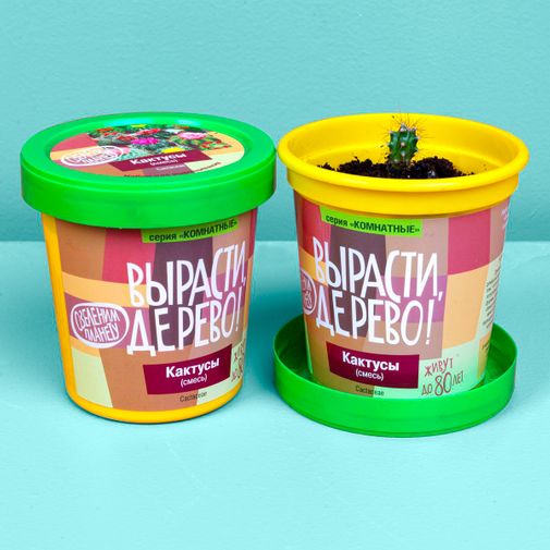 Набор для выращивания Кактусы Набор для выращивания Кактусы