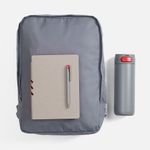 Подарочный набор Flexpen Travel (серый с красным) Подарочный набор Flexpen Travel (серый с красным)