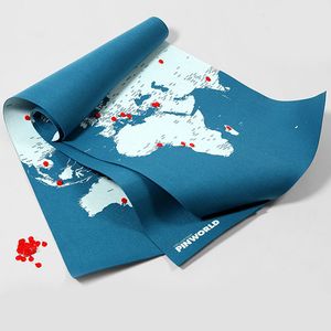 Карта мира Palomar Pin World