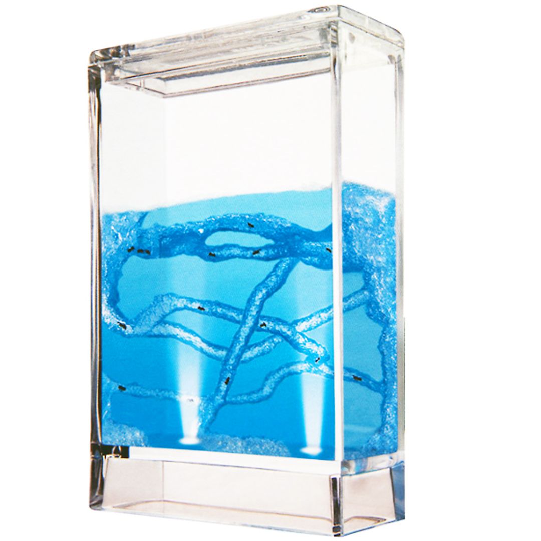 Муравьиная ферма Домик Муравьиная ферма Домик