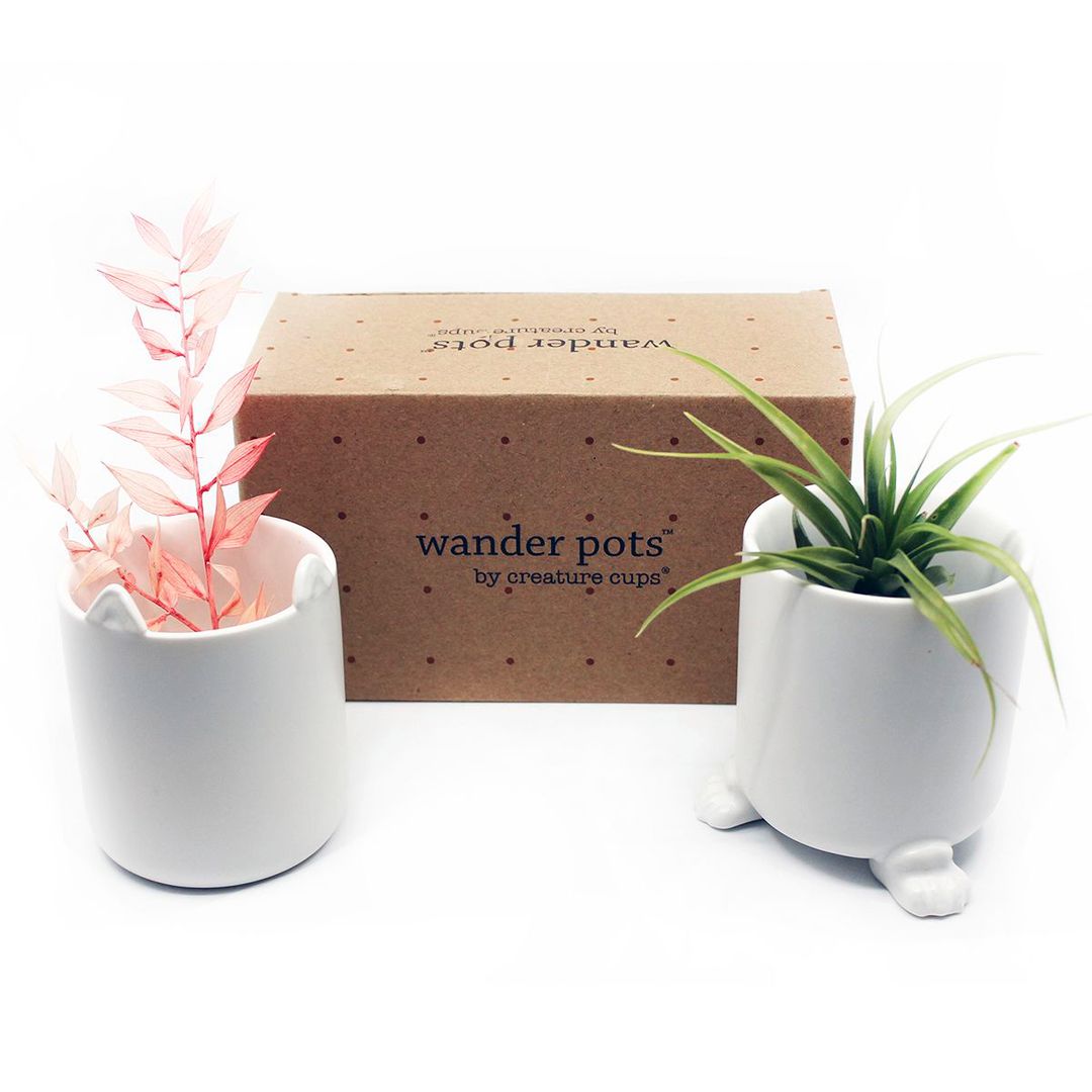 Набор горшочков Wander Pots Мяу