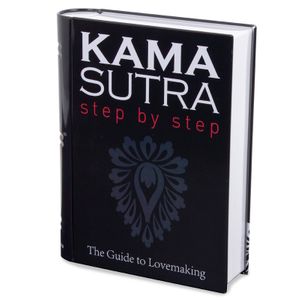 Бокс для хранения Kamasutra