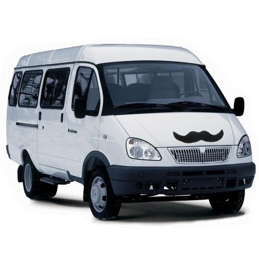 Магнитные мохнатые Усы