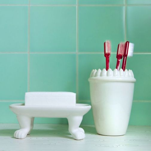 Зубастый стакан Dylan Kendall