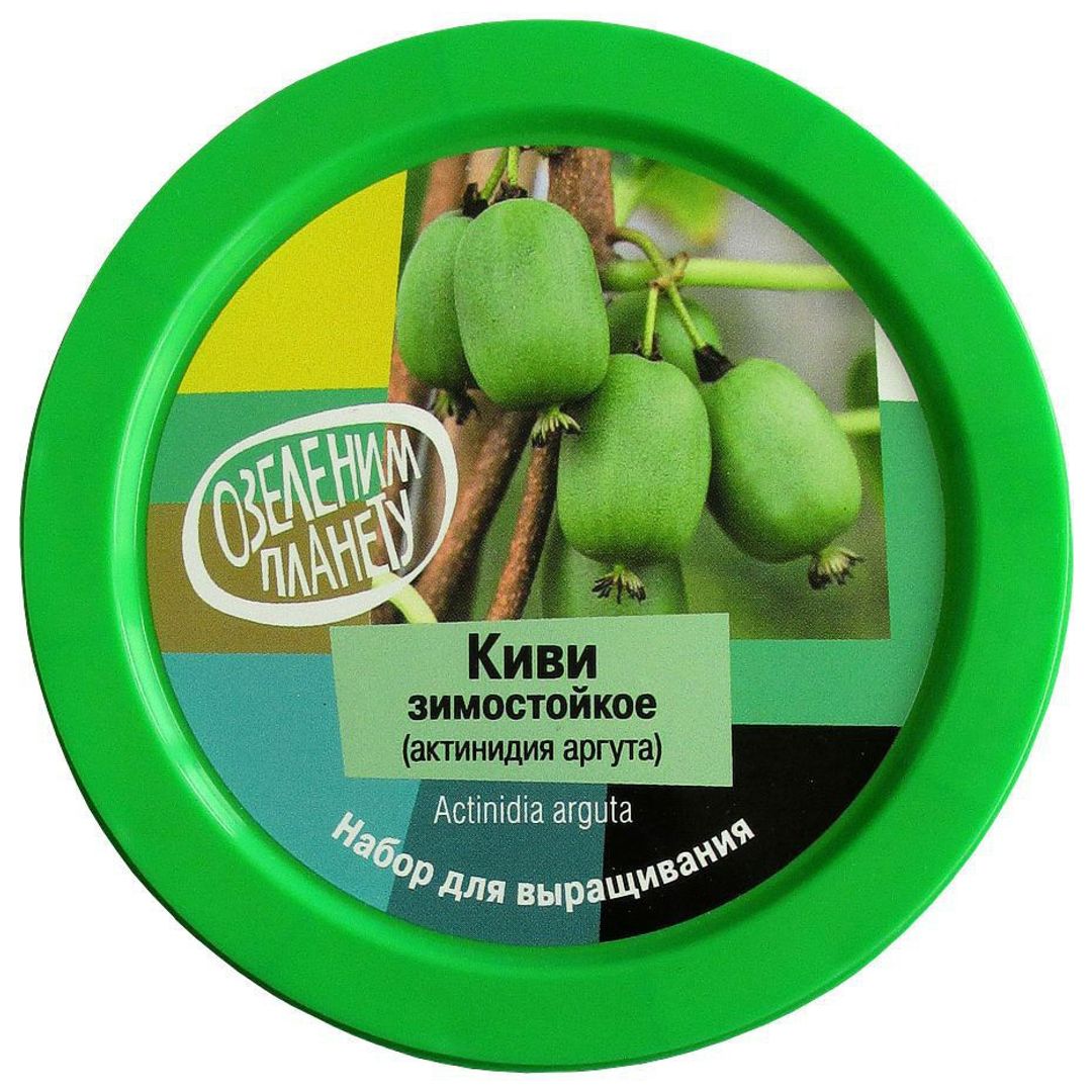 Набор для выращивания Киви зимостойкое