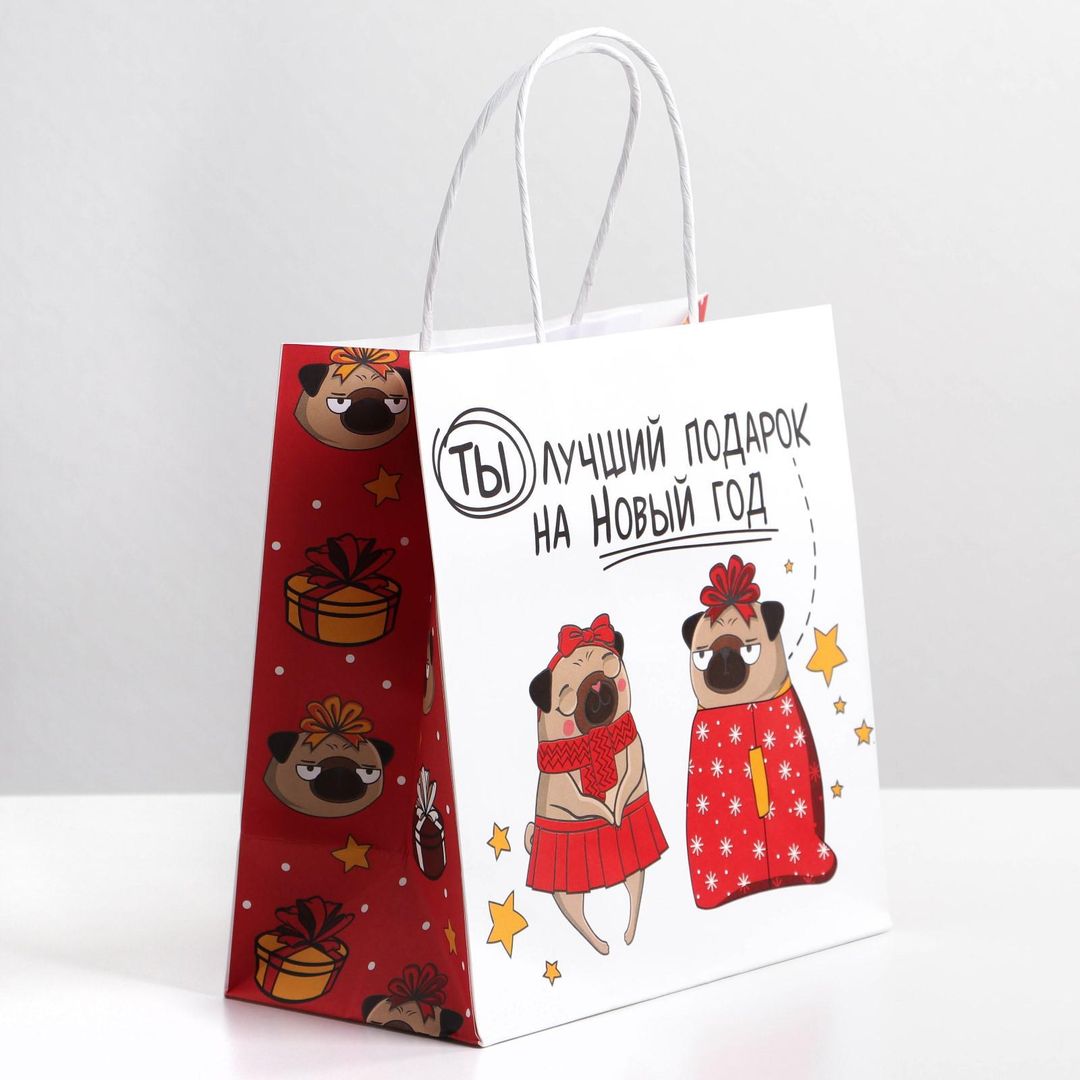 Подарочный пакет Ты - лучший подарок (22 х 22 х 11 см)