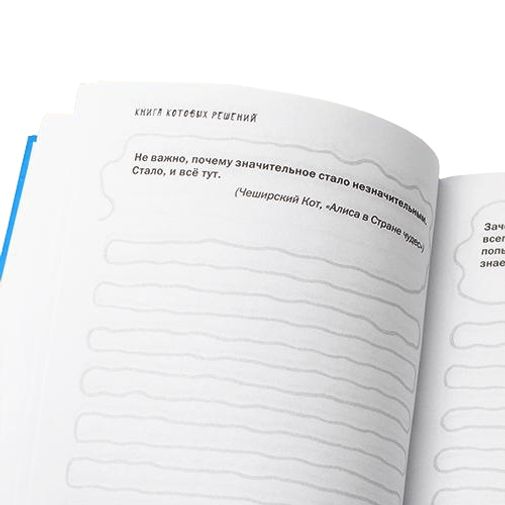Записная книжка Книга Котовых решений Можно писать под цитатами