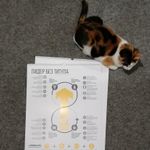 Умный календарь Лидер 2020 Отзыв