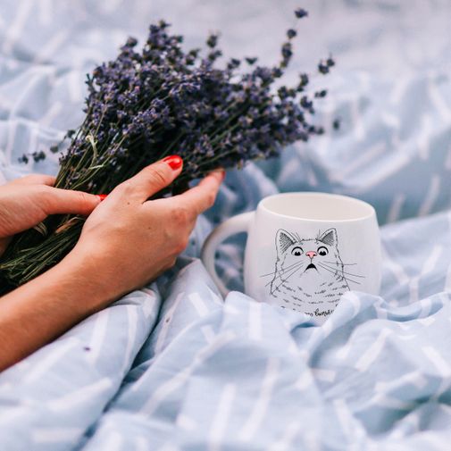 Кружка Удивленный кот Ты все это выпьешь?! Кружка Удивленный кот Ты все это выпьешь?!