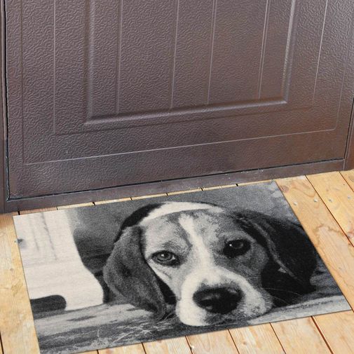 Коврик для входной двери Бигль