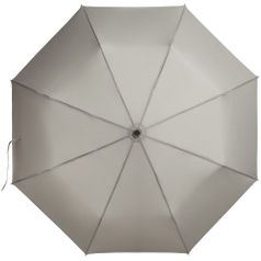 Зонт Tracery с проявляющимся рисунком