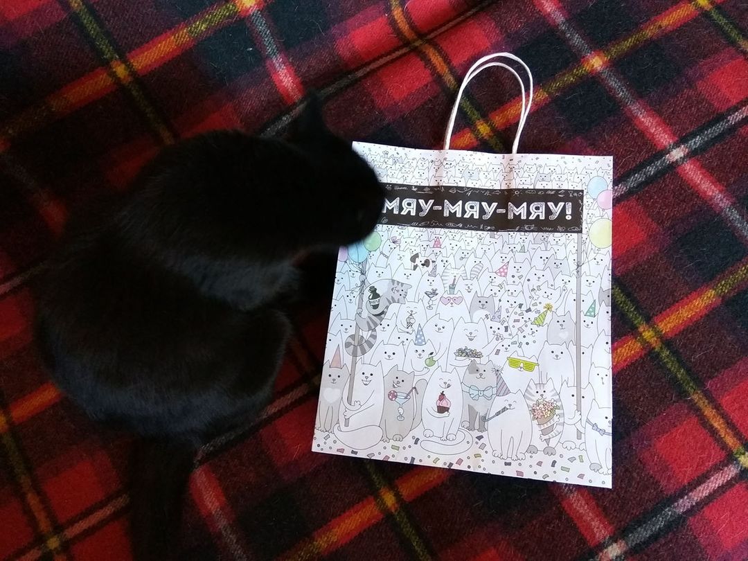 Фото покупателя Алена Фото покупателя Алена