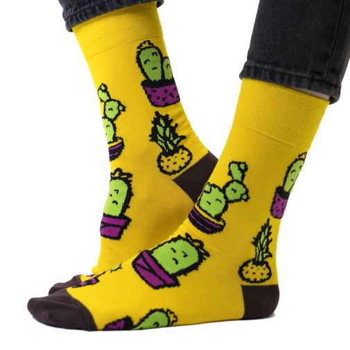 Носки Оранжерея №16 Носки Оранжерея №16