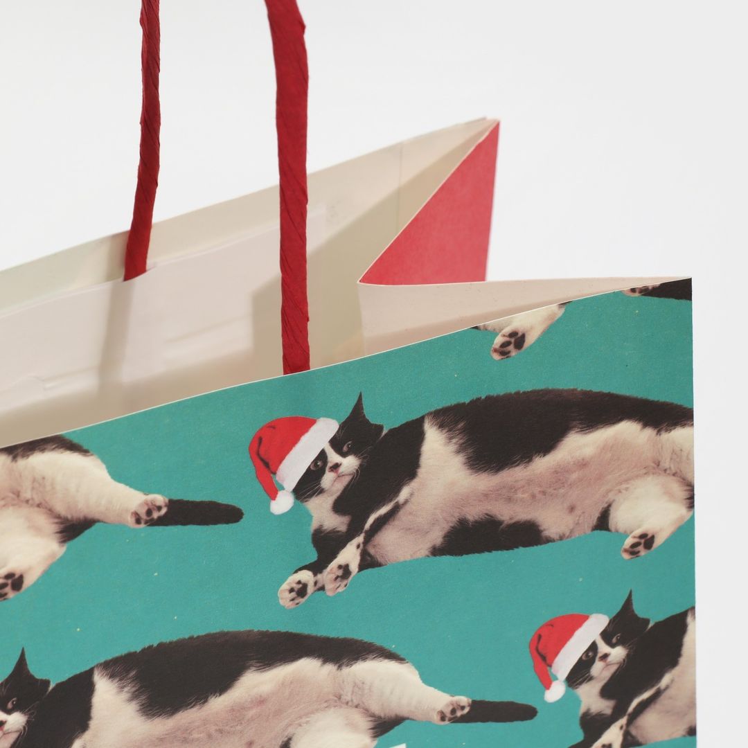 Подарочный пакет Веселье (22 х 22 х 11 см) Подарочный пакет Веселье (22 х 22 х 11 см)