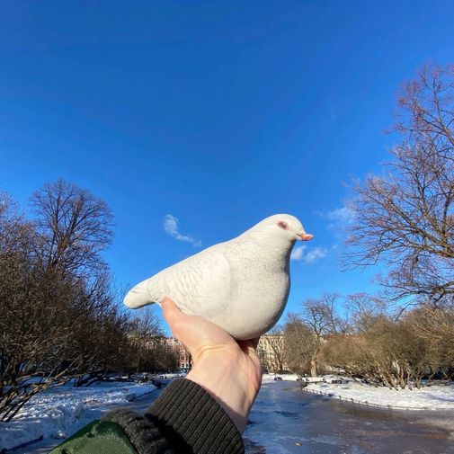 Декоративная подушка Голубь Декоративная подушка Голубь
