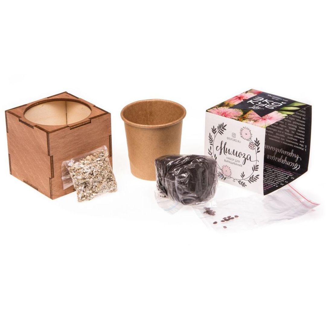 Набор для выращивания Мимоза