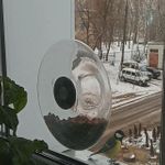 Кормушка для птиц оконная Eva Solo (большая) Отзыв