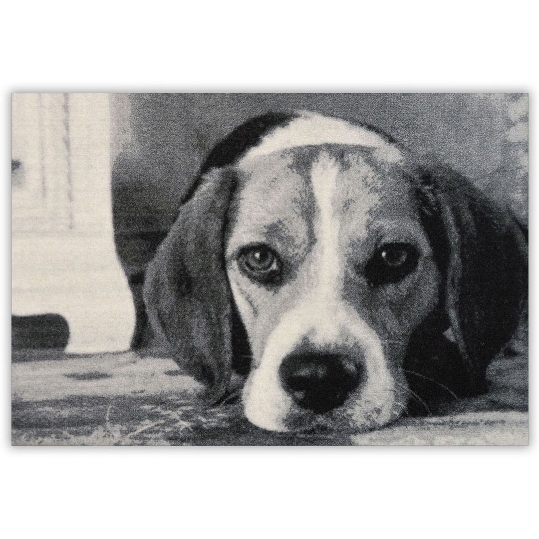 Коврик для входной двери Бигль