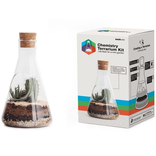 Настольный террариум для растений Chemistry Terrarium Kit