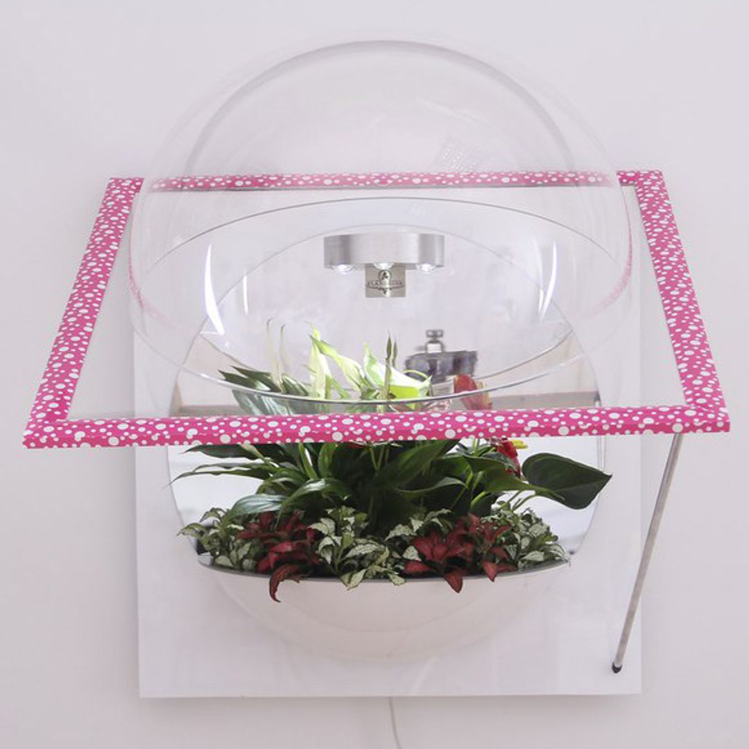 Настенный флорариум Flandriss Candy Настенный флорариум Flandriss Candy