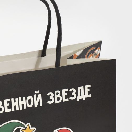 Подарочный пакет Звезда (22 х 22 х 11 см)