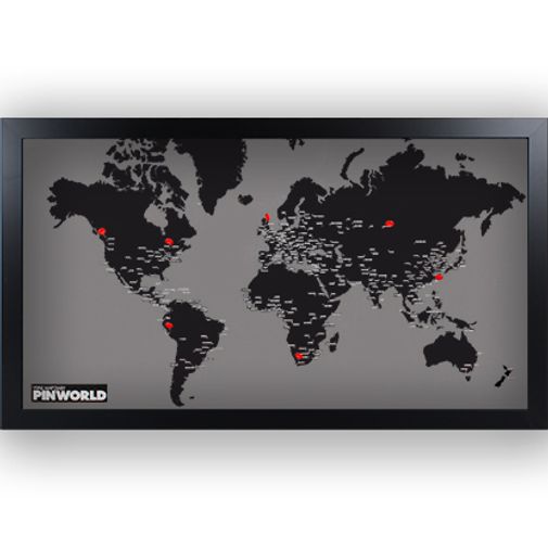 Карта мира Palomar Pin World