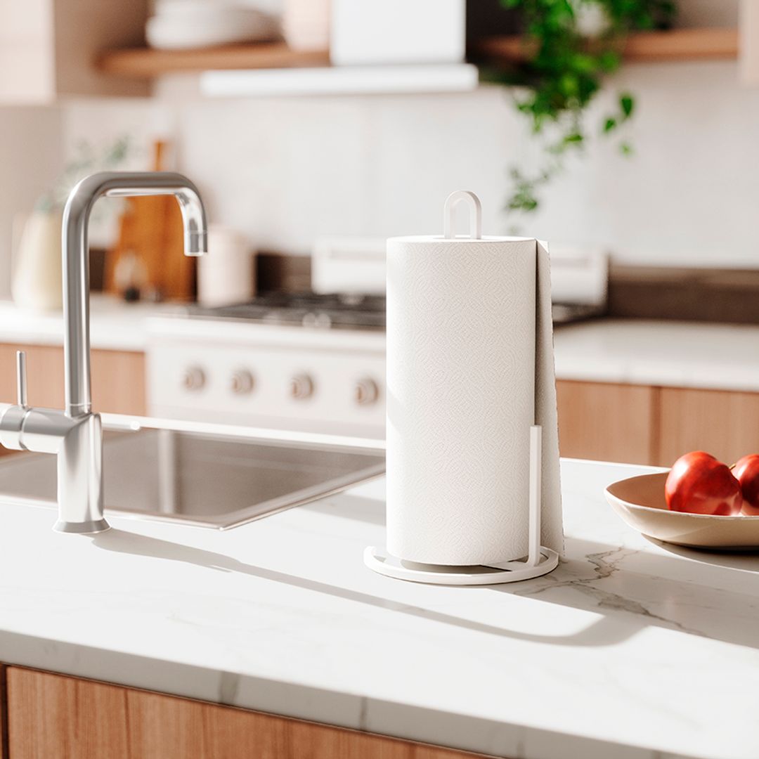 Держатель для бумажных полотенец Squire