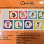 Шоколадный набор Котомания Отзыв Шоколадный набор Котомания Отзыв