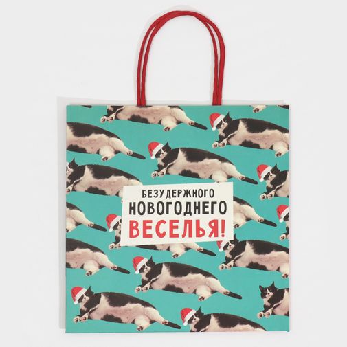 Подарочный пакет Веселье (22 х 22 х 11 см) Подарочный пакет Веселье (22 х 22 х 11 см)
