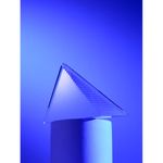 Стела Success Steps