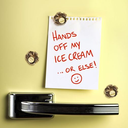 Магниты Пуля Shot-Up (3 шт.) Магниты Пуля Shot-Up (3 шт.)