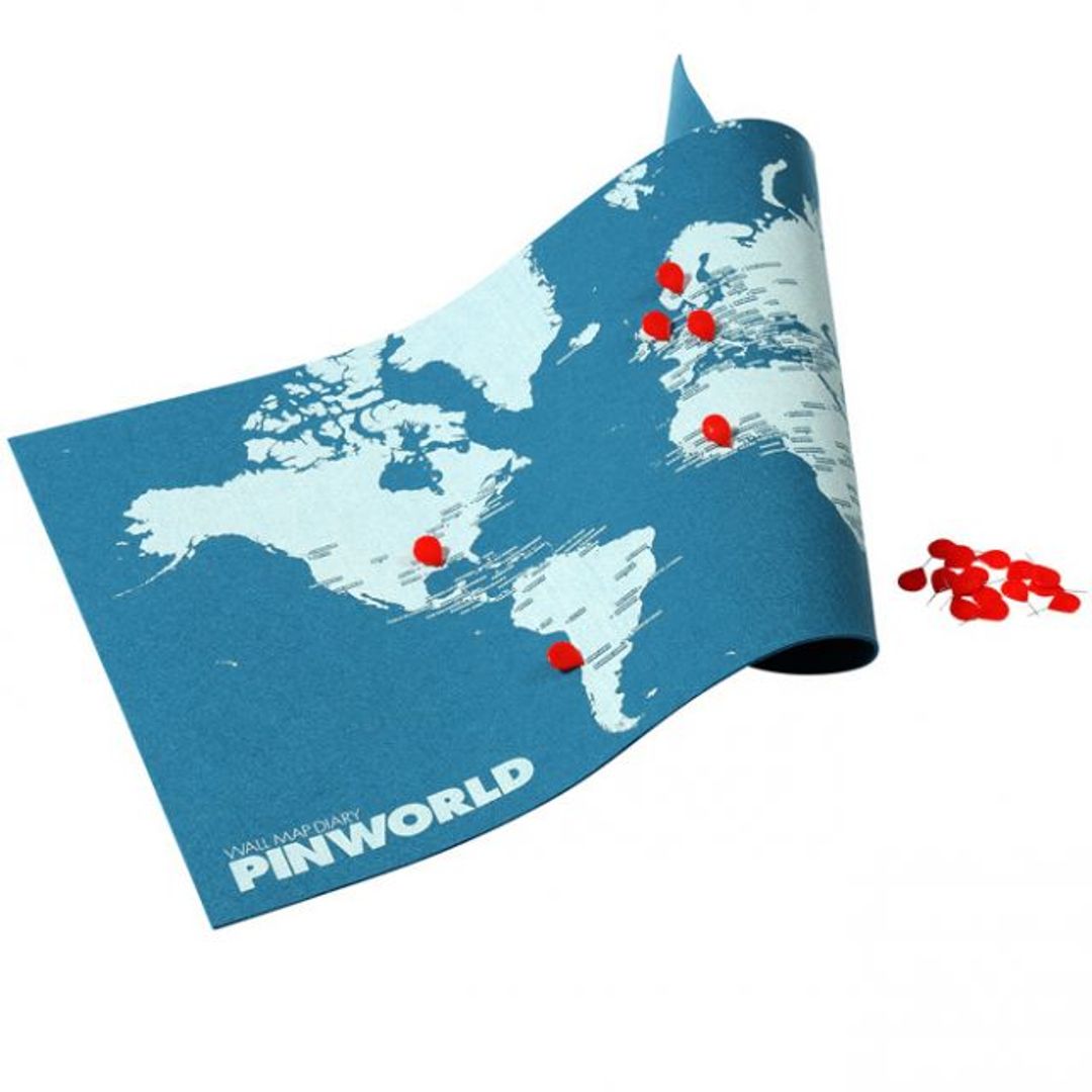 Карта мира Palomar Pin World