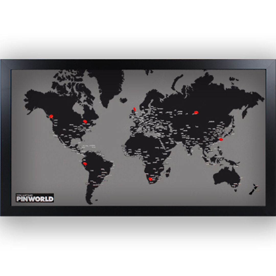 Карта мира Palomar Pin World