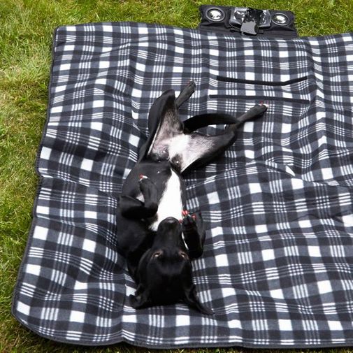 Плед с колонками Speaker Blanket Плед с колонками Speaker Blanket