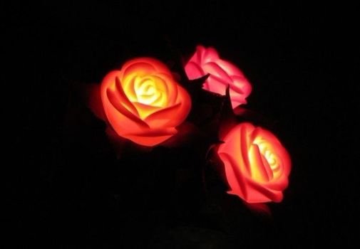 Роза Светящаяся