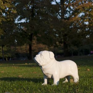 Гигантская копилка Бульдог Guard Dog Money Box