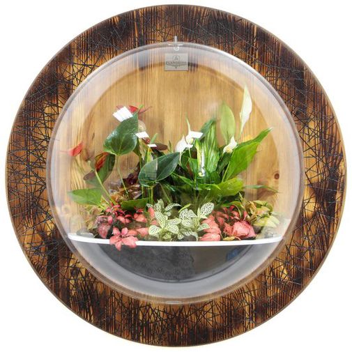 Настенный флорариум Flandriss Ignis Liberandum