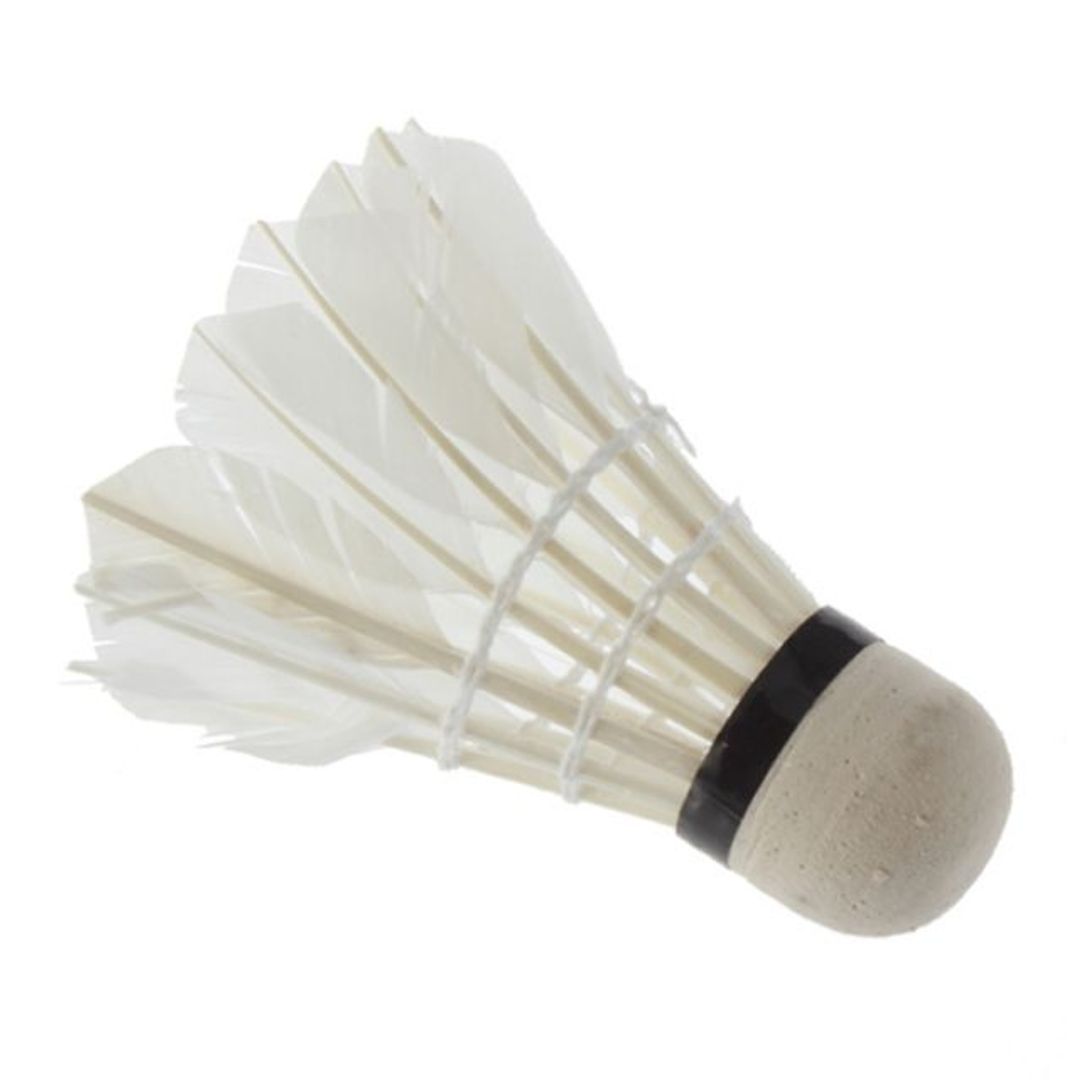 Светящиеся воланы (4 шт.) Светящиеся воланы (4 шт.)