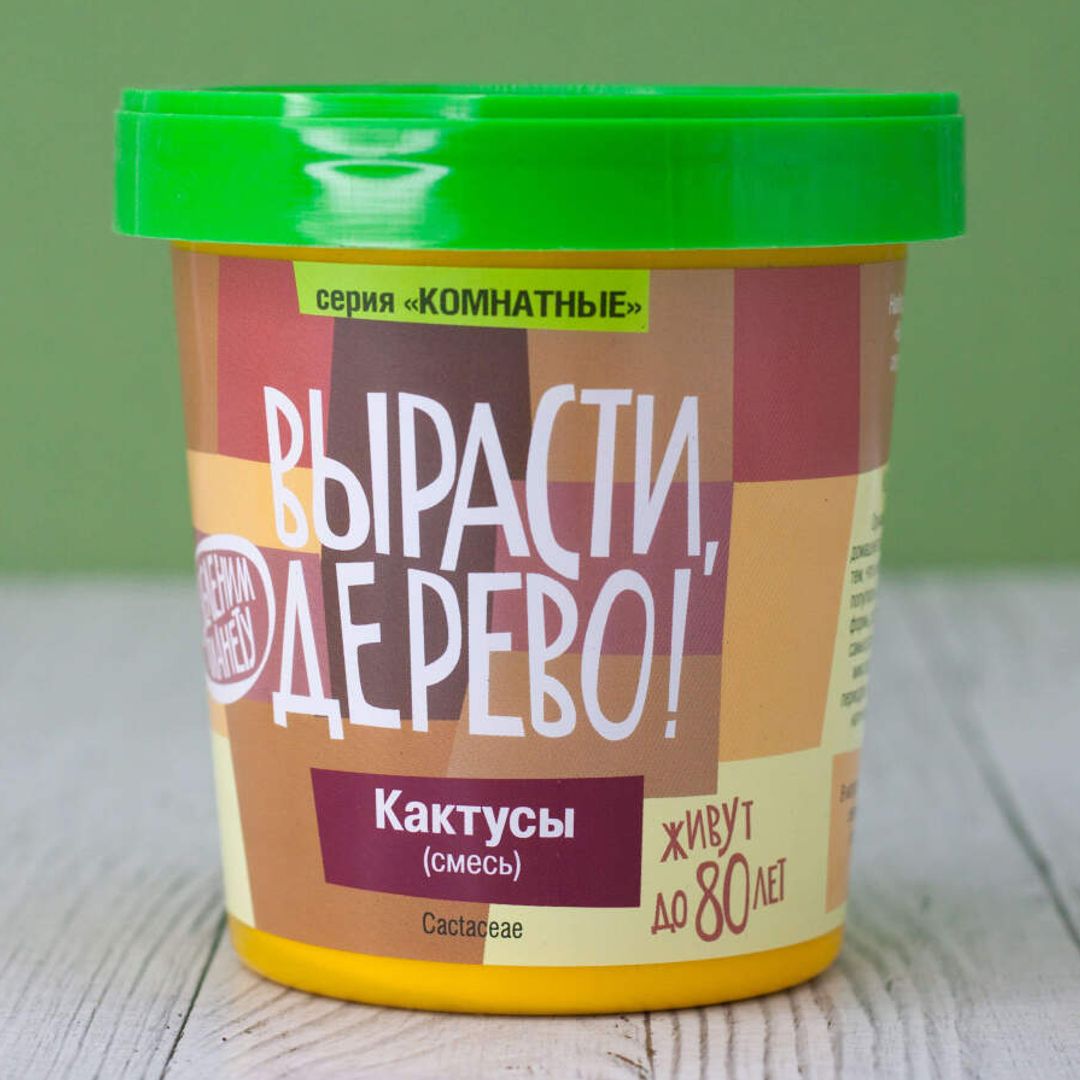 Набор для выращивания Кактусы Набор для выращивания Кактусы