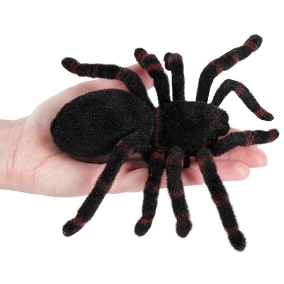 Радиоуправляемый тарантул RC Tarantula Радиоуправляемый тарантул RC Tarantula