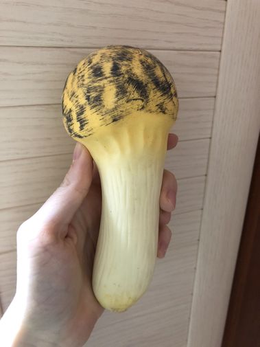 Фото покупателя Ольга Фото покупателя Ольга